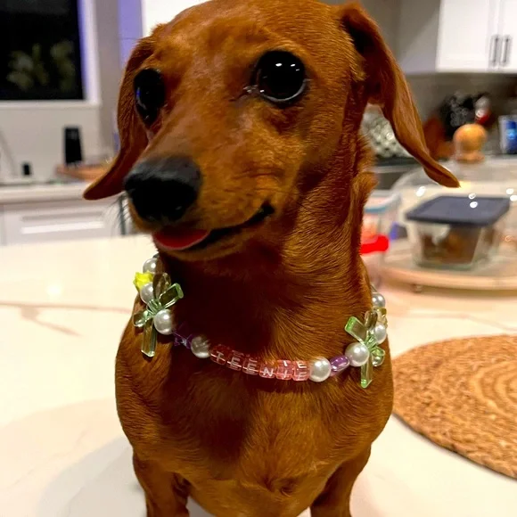 Custom pet necklace! 💘 🐾 - Picture 3 of 4